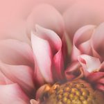 mk体育下载的优势与使用技巧,助你畅享体育盛宴 129fmka