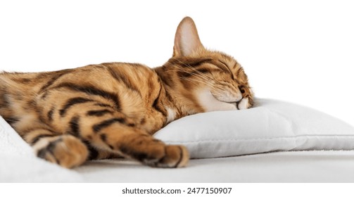 pg游戏平台试玩的热门游戏推荐与玩法解析