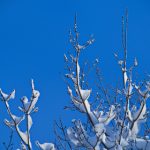 pa视讯平台的优势:为何越来越多玩家选择它? at4fs3h65