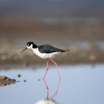 gvbet的安全性分析:保护玩家隐私的措施 es3egq