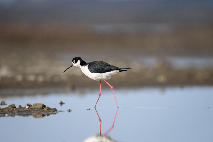 gvbet的安全性分析:保护玩家隐私的措施