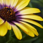 ng28.com的独特功能与用户体验分析 fy20ufjf3q