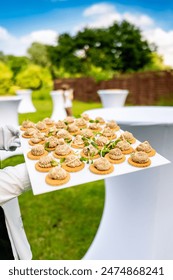 ng体育的崛起:数字化时代下的新型体育体验与互动