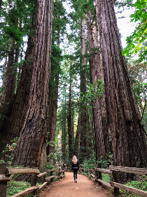 e尊国际娱乐的热门游戏推荐与玩家心得分享
