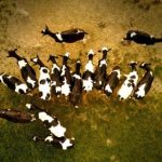 k体育官网下载的优势与特色,助你畅享体育娱乐 tvndsn