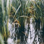 ku游体育的魅力:如何提升用户体验与参与感 vfvpo0d