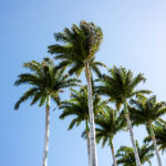 15016期彩票开奖结果最新公布 0h93i4z6