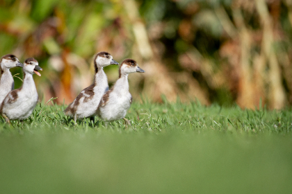 14视直播:全新视角带你直击现场精彩 14视直播:全新视角带你直击现场精彩