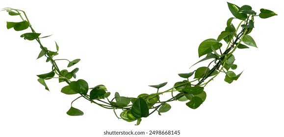 35期好运开奖结果揭晓,幸运号码等你来查! 35期好运开奖结果揭晓,幸运号码等你来查!