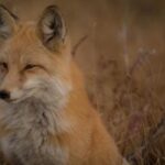 355555开奖现场最新实况播报与结果揭晓 408r5m