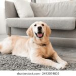 15068期足彩开奖结果揭晓:大奖花落谁家? 4kza0c7y