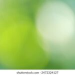 15075期大乐透开奖结果揭晓:大奖花落谁家? 568cz