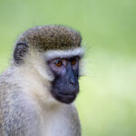 15058期大乐透开奖结果及最新中奖号码公布 69k7w