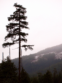 14直播吧:精彩赛事直播尽在指尖 14直播吧:精彩赛事直播尽在指尖