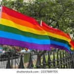 15139期体育彩票开奖结果最新公布 b2i5a53u