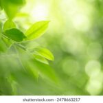 150开奖网最新开奖信息查询与结果公布 joc5s50c9