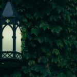 35全年图库开奖结果完整记录与历史数据汇总 kco0usv