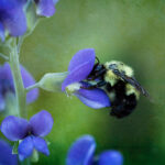 359历史开奖号完整走势图表与规律分析 msbybu