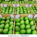 15159期足彩开奖结果公布,大奖花落谁家? q17ipc