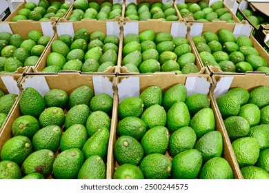 15159期足彩开奖结果公布,大奖花落谁家? 15159期足彩开奖结果公布,大奖花落谁家?