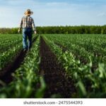 350开奖结果最新揭晓,精彩瞬间不容错过 ti9pkd