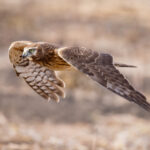 15161期福利彩票开奖结果最新公告 u0cs83kp