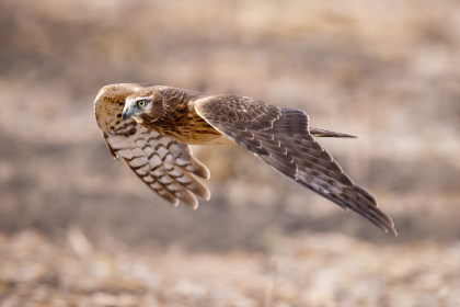 15161期福利彩票开奖结果最新公告 15161期福利彩票开奖结果最新公告