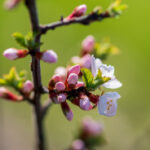 35677开奖结果最新公布,今日中奖号码全面揭晓 vtsr5t