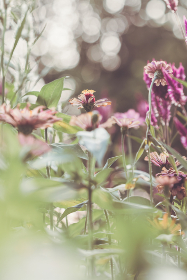 351期开奖号码正式公布,最新结果已揭晓 351期开奖号码正式公布,最新结果已揭晓